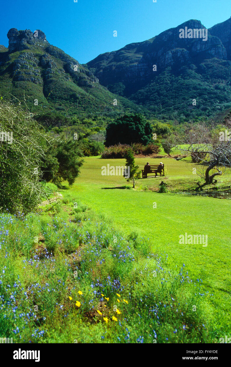Besucher auf Bank; Kirstenbosch National Botanical Garden; außerhalb von Kapstadt; Kap-Halbinsel; Südafrika Stockfoto