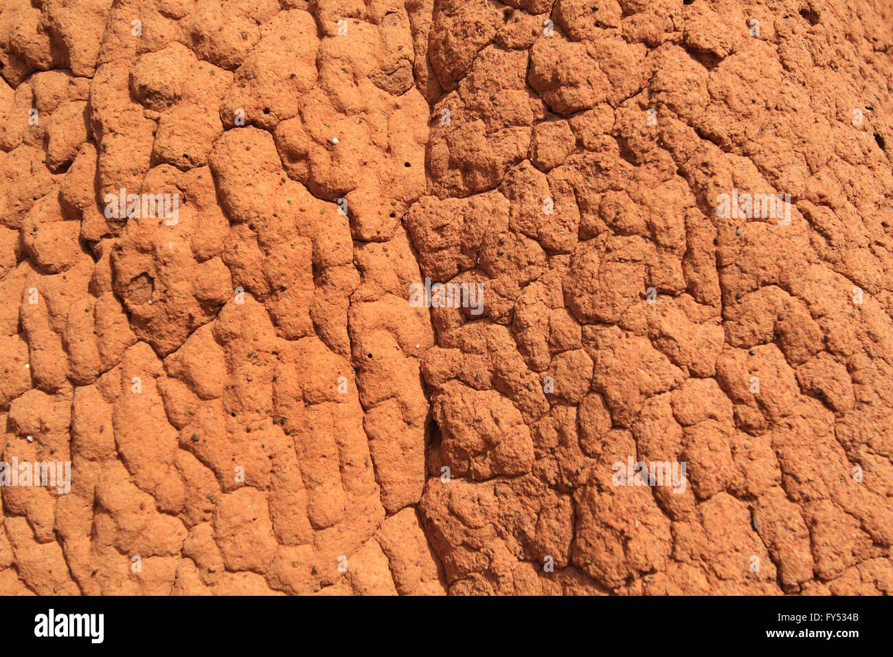 Roten Termite Mound Hintergrund Detailansicht, Querformat Stockfoto