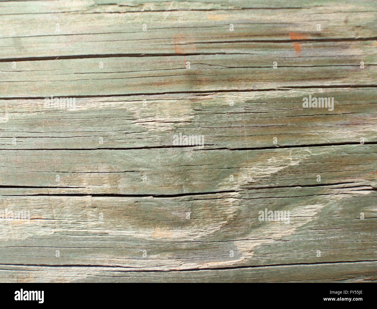 Nahaufnahme von Grünstich Holzbohlen gut für Hintergründe und Texturen. Stockfoto