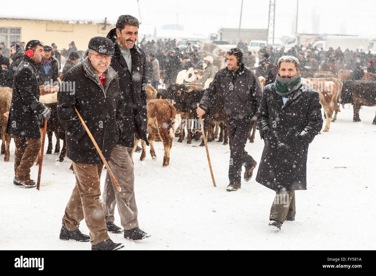 Kurdische Vieh Händler treffen sich in der Viehmarkt in der Winterzeit, damit sie das Vieh im Winter Markt verkaufen Stockfoto