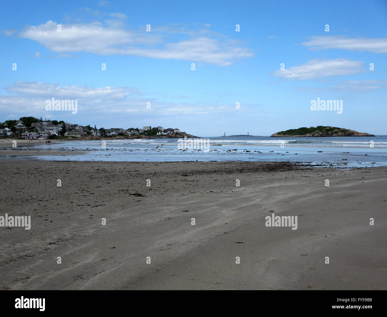 Strand mit Vögel auf der Suche nach Nahrung in der Brandung an Good Harbor Beach, Gloucester, Massachusetts. Thacher Insel mit Salz Isla Stockfoto