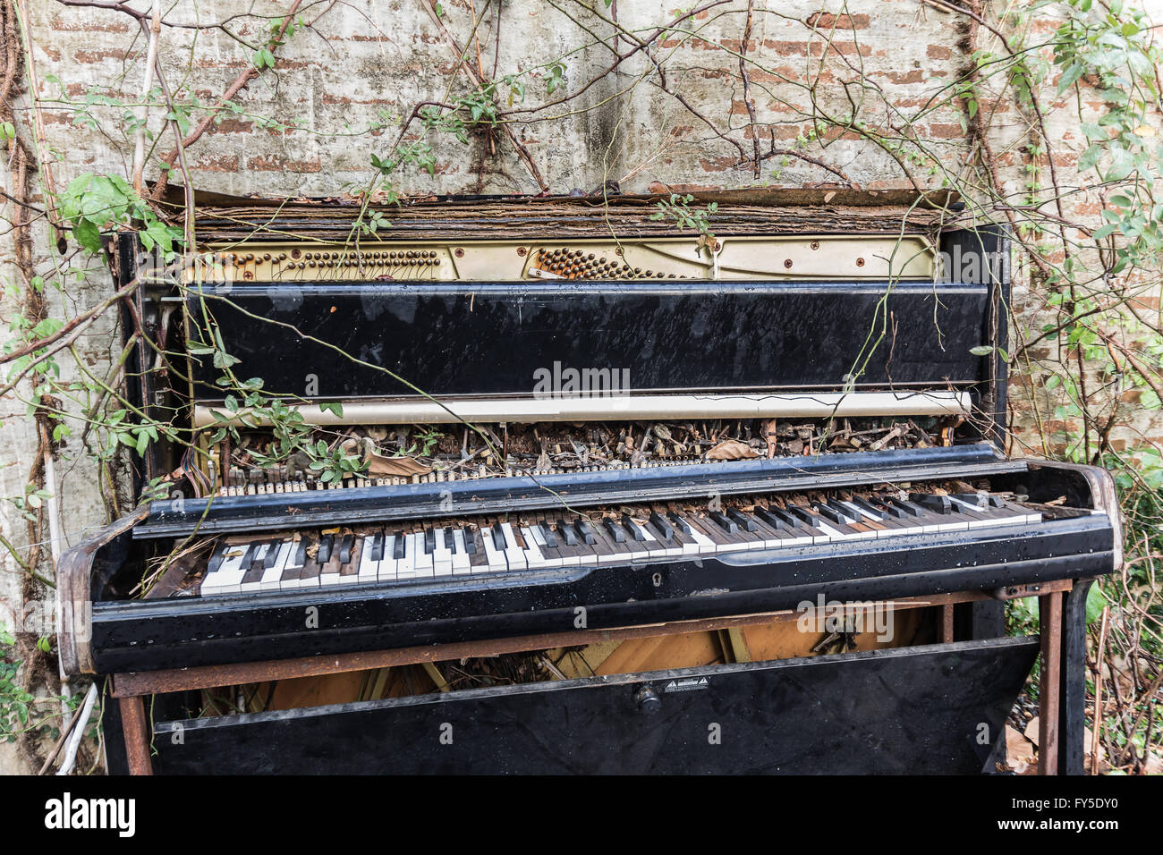 altes Klavier mit Betonwand und Blatt Stockfotografie - Alamy