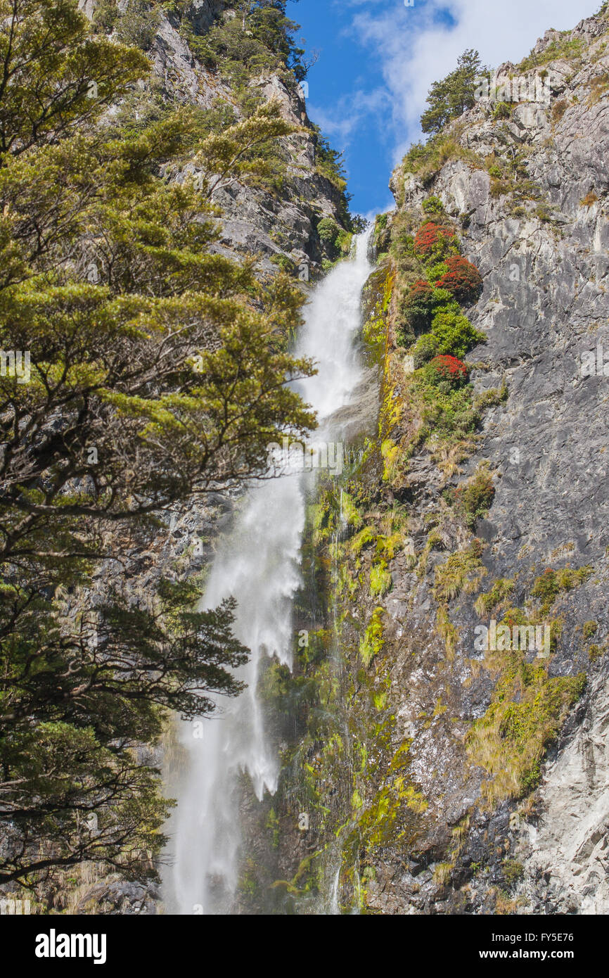 Ein malerischen Blick auf den Wasserfall Cascade - Devils Punchbowl fallen in Neuseeland Stockfoto