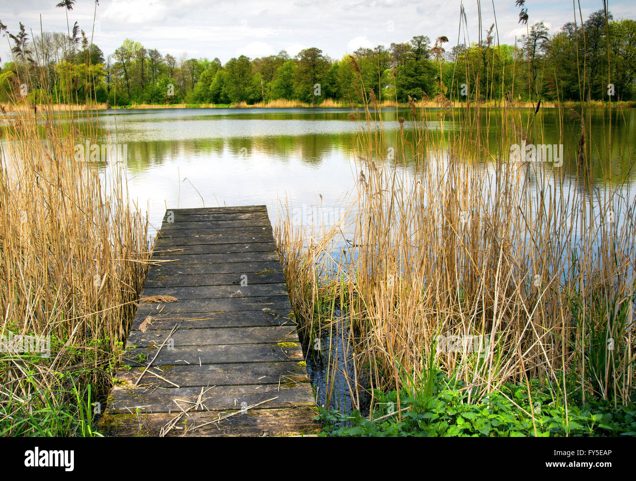 Foto vom Teich, Schilf und Holzbrücke in Raszyn Teiche Reserve im zeitigen Frühjahr aus April.Horizontal Sicht. Stockfoto