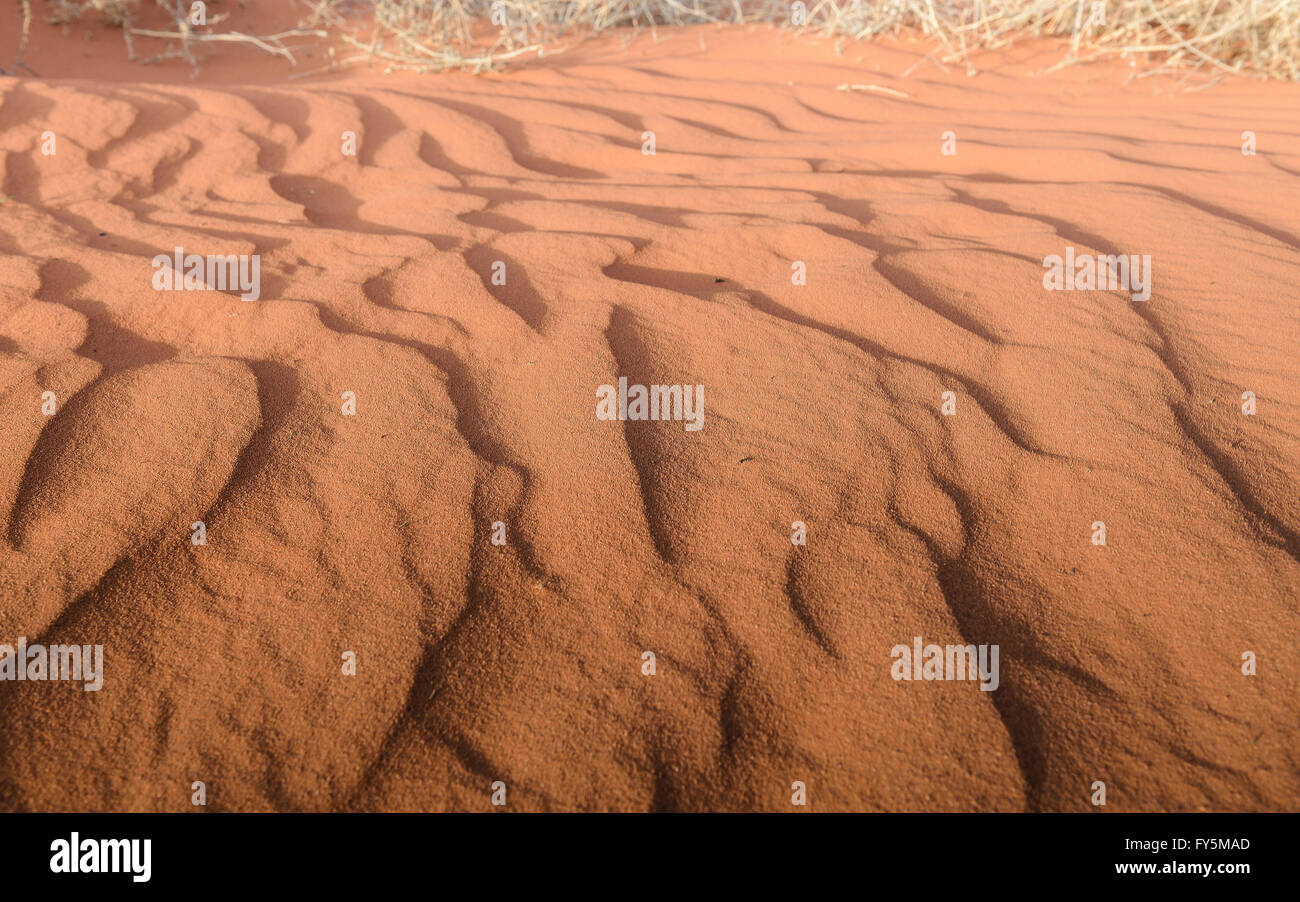 Welle der Wüstensand nach der Erosion durch Wind, Wüste von Arizona, Monument Valley Stockfoto