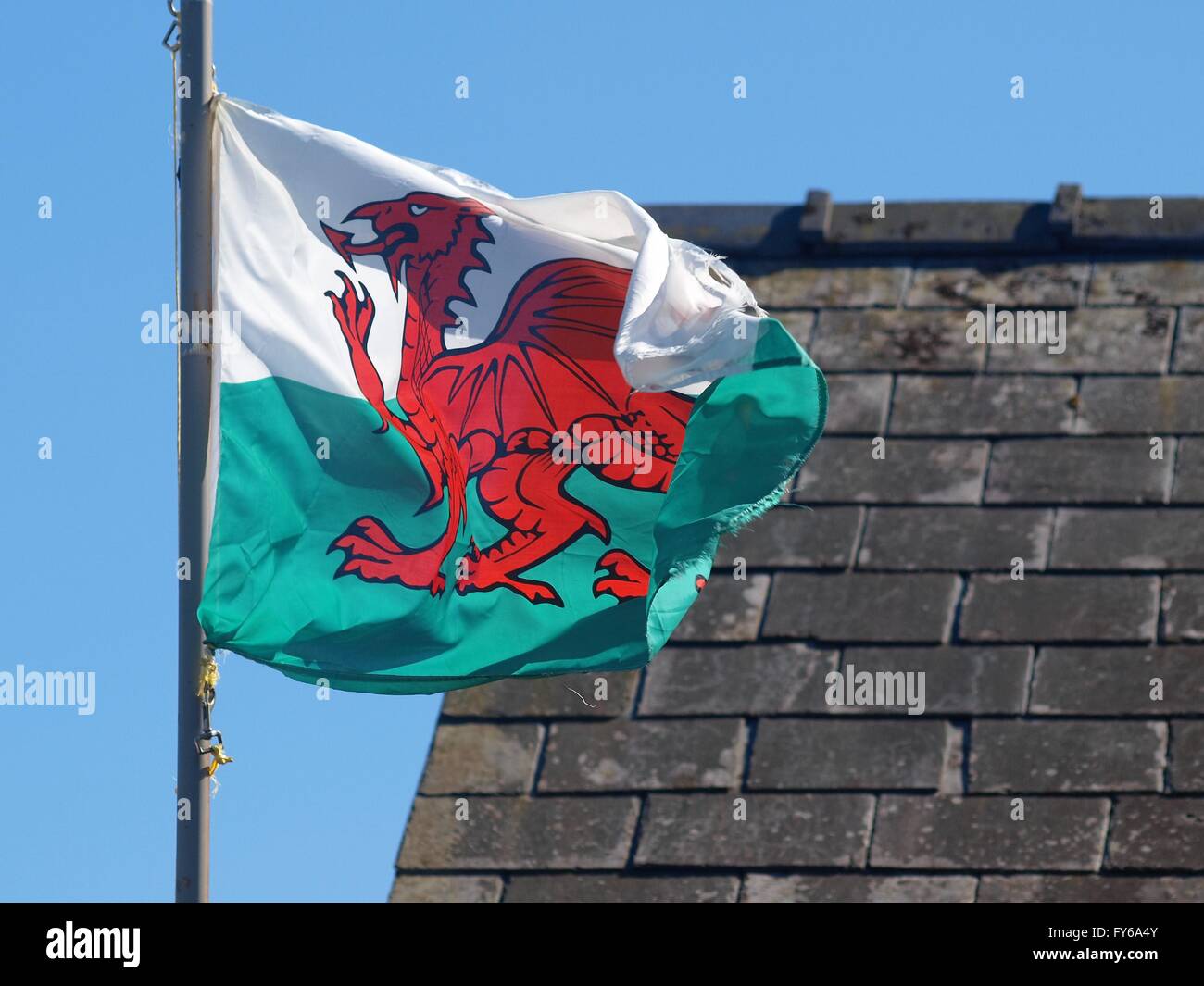 Walisische Flagge Stockfoto
