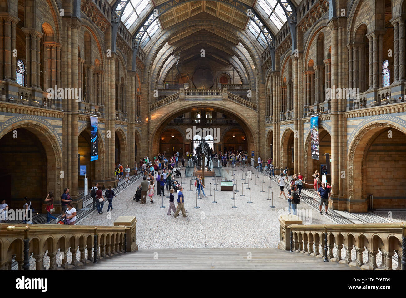 Natural History Museum Innenraum mit Menschen und Touristen in London Stockfoto