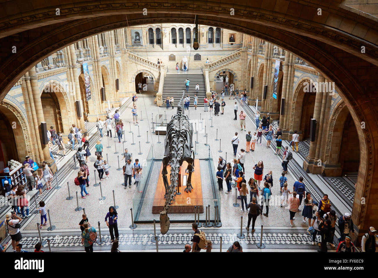 Natural History Museum Innenraum mit Touristen, Menschen und Dinosaurier-Skelett in London Stockfoto