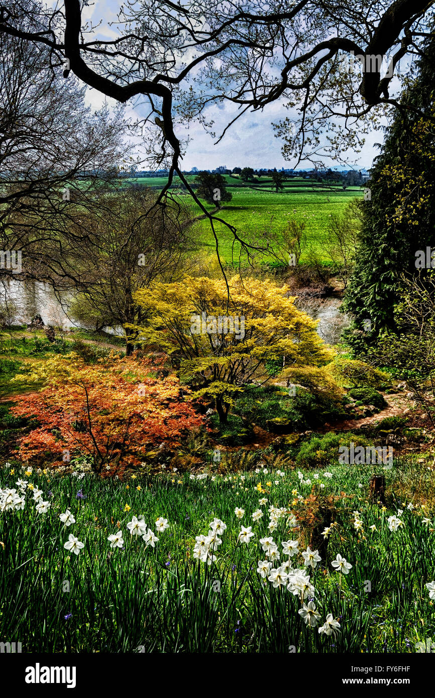 Am Ufer des Flusses Wye 5 Meilen stromaufwärts von Hereford sind sehr nett und malerisch. Stockfoto