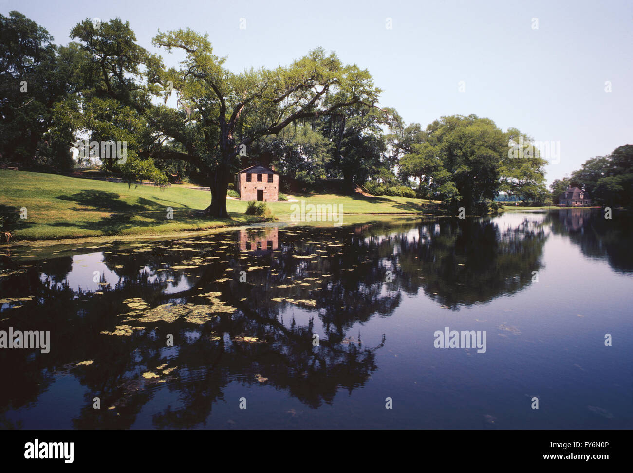 TEICHE; MIDDLETON PLACE; c1741; URSPRÜNGLICH 50.000 HEKTAR GROßEN PLANTAGE REIS; CHARLESTON; SOUTH CAROLINA; USA Stockfoto