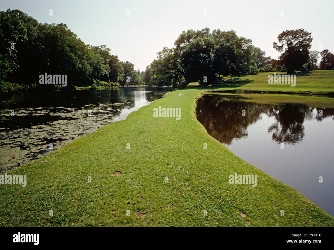 TEICHE; MIDDLETON PLACE; c1741; URSPRÜNGLICH 50.000 HEKTAR GROßEN PLANTAGE REIS; CHARLESTON; SOUTH CAROLINA; USA Stockfoto