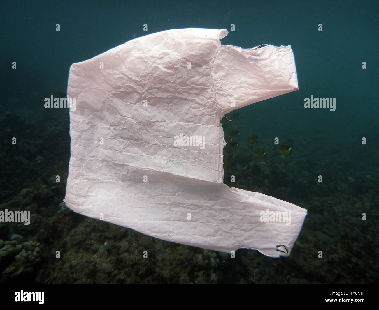 Weißen Plastikbeutel schwimmt auf dem Wasser des Ozeans der Hanauma Bay auf Oahu, Hawaii.  Mit Korallen und Fischen in der Ferne Zeitmessung Stockfoto