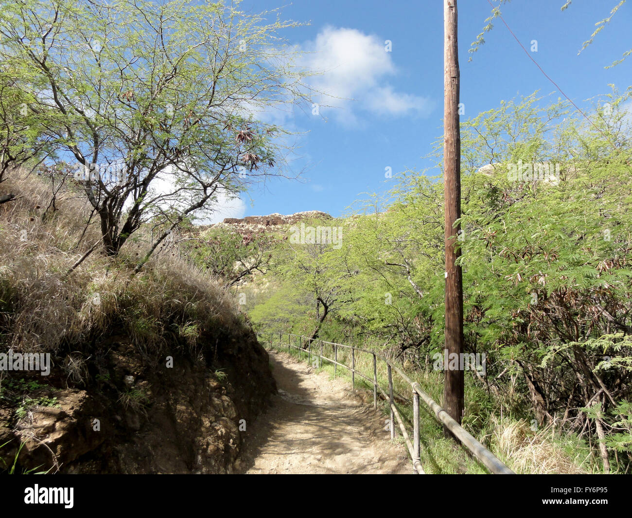 Weg, Weg auf den Gipfel des Diamond Head Krater.  Pfad ist von Büschen und Bäumen umgeben. Stockfoto