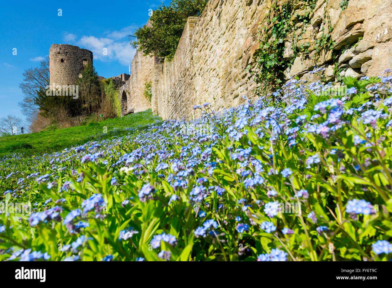 Frühling in Ludlow Castle in Shropshire, England, Vereinigtes Königreich. Stockfoto