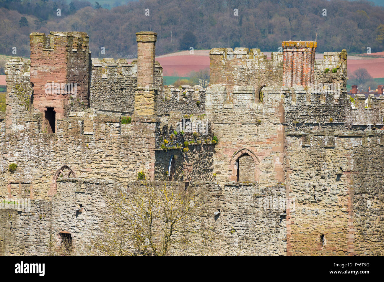 Ludlow Castle gesehen von Whitcliffe gemeinsamen, Shropshire, England, UK. Stockfoto