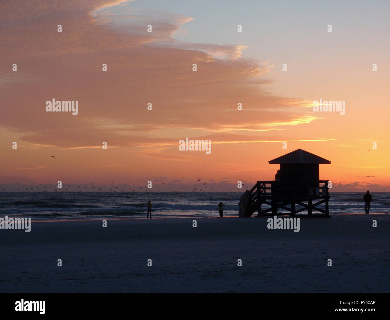 Siesta Keys Strand Sonnenuntergang mit einem Vogelschwarm fliegt, Menschen fotografieren, die Veranstaltung und ein Rettungsschwimmer-Turm Stockfoto