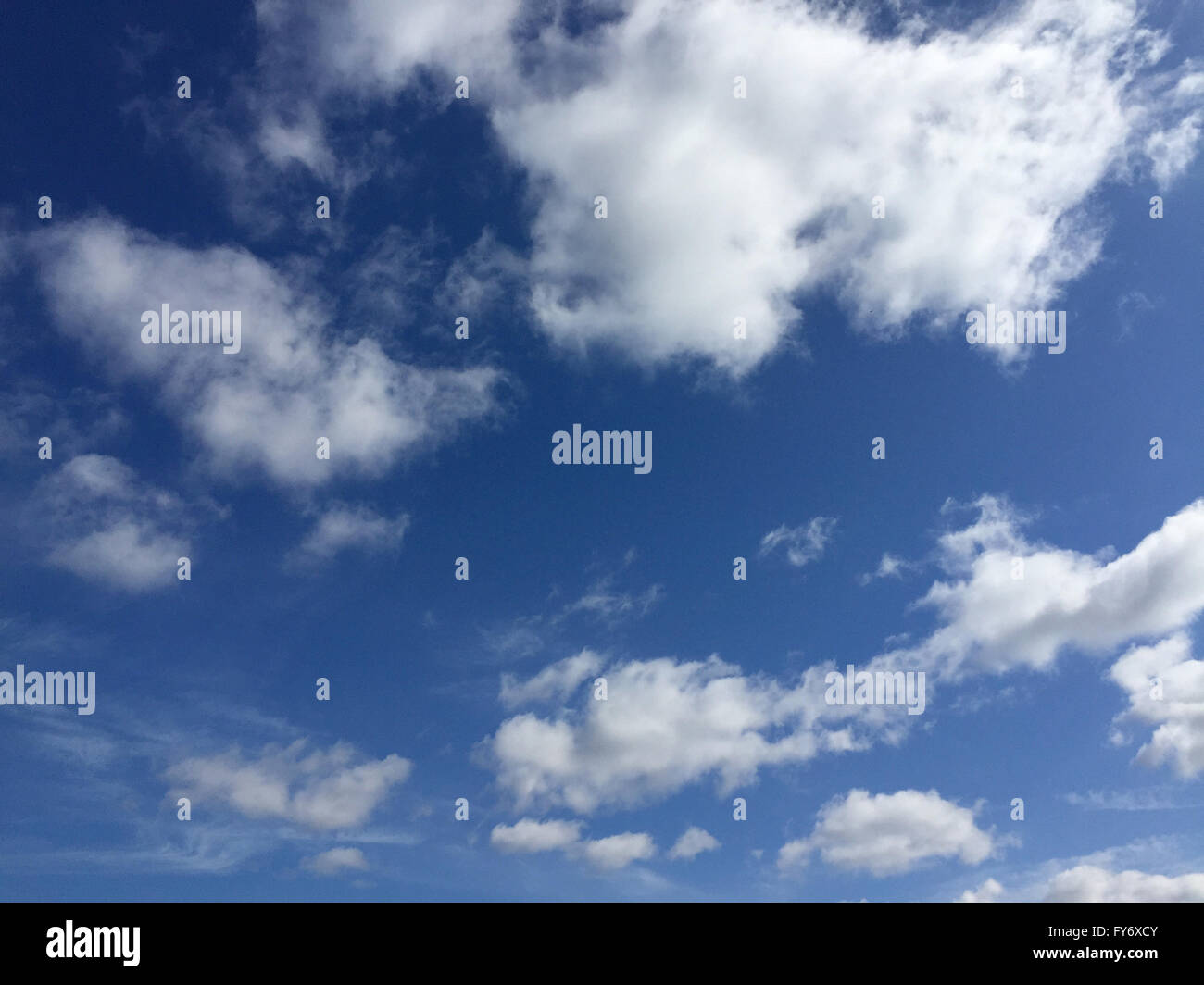 Geschwollene Cumulus-Wolken. Stockfoto
