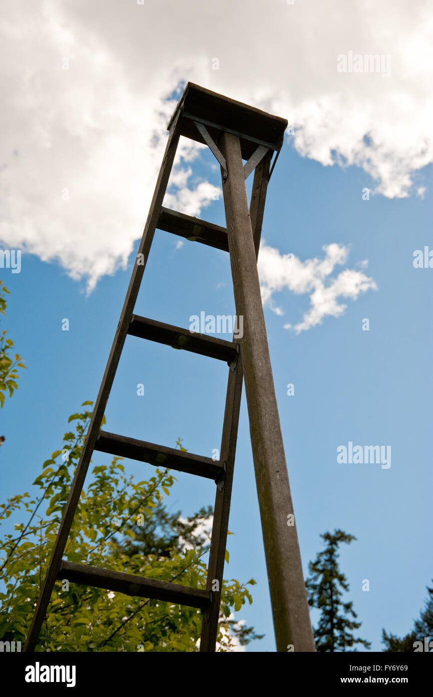 Leiter und Himmel Hintergrund Stockfoto