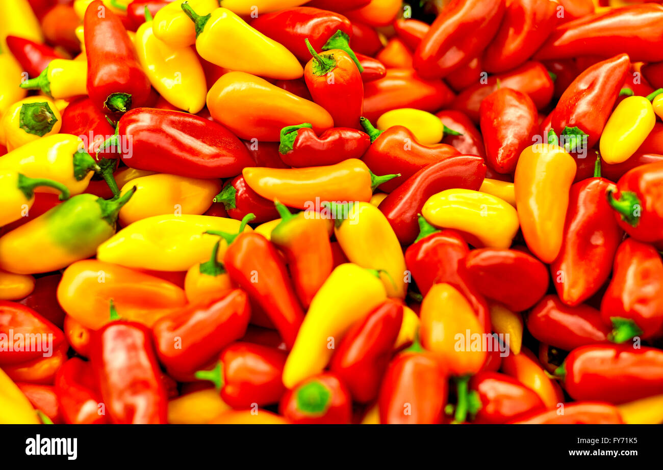 Scheffel voller rote, gelbe und orange Paprika mit geringer Tiefe des Feldes Stockfoto