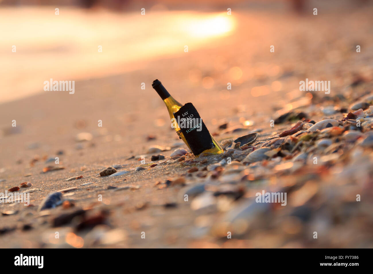 sagen hallo Sommer Stockfoto