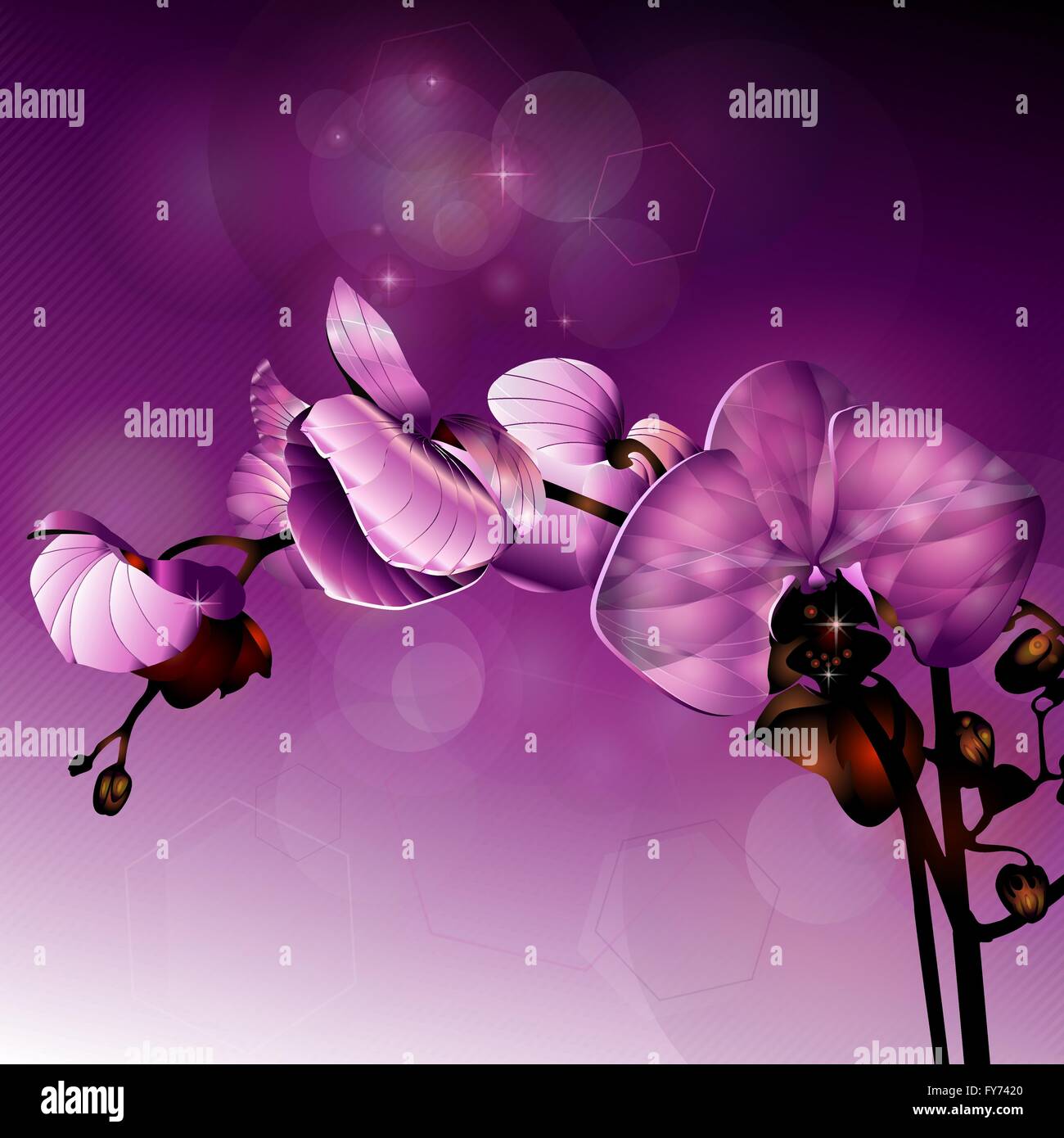 dunkel rosa Orchidee Blume 3D-Illustration Stock Vektor