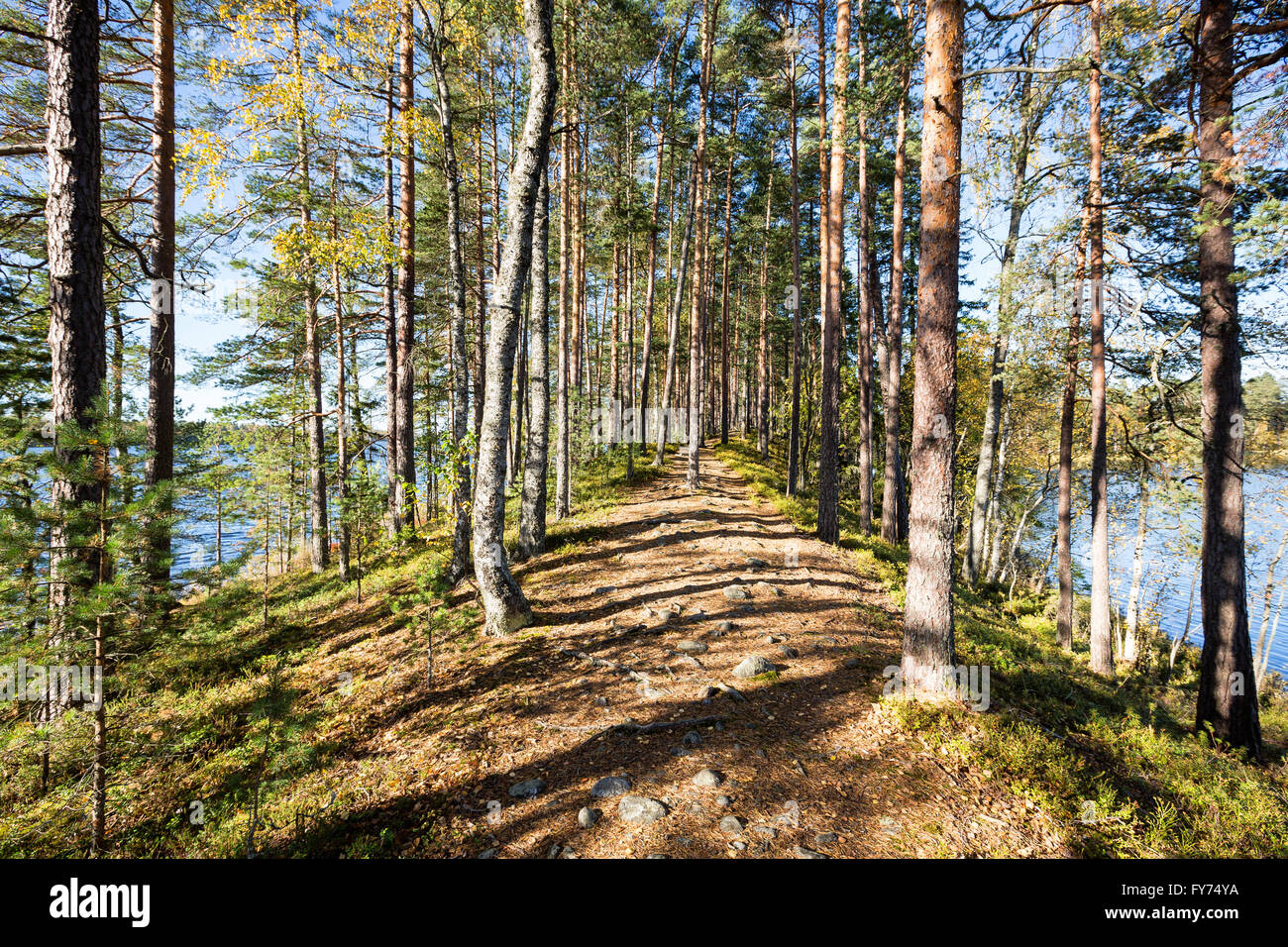 Eine schöne Grat, Tammela, Finnland, Europa, EU Stockfoto