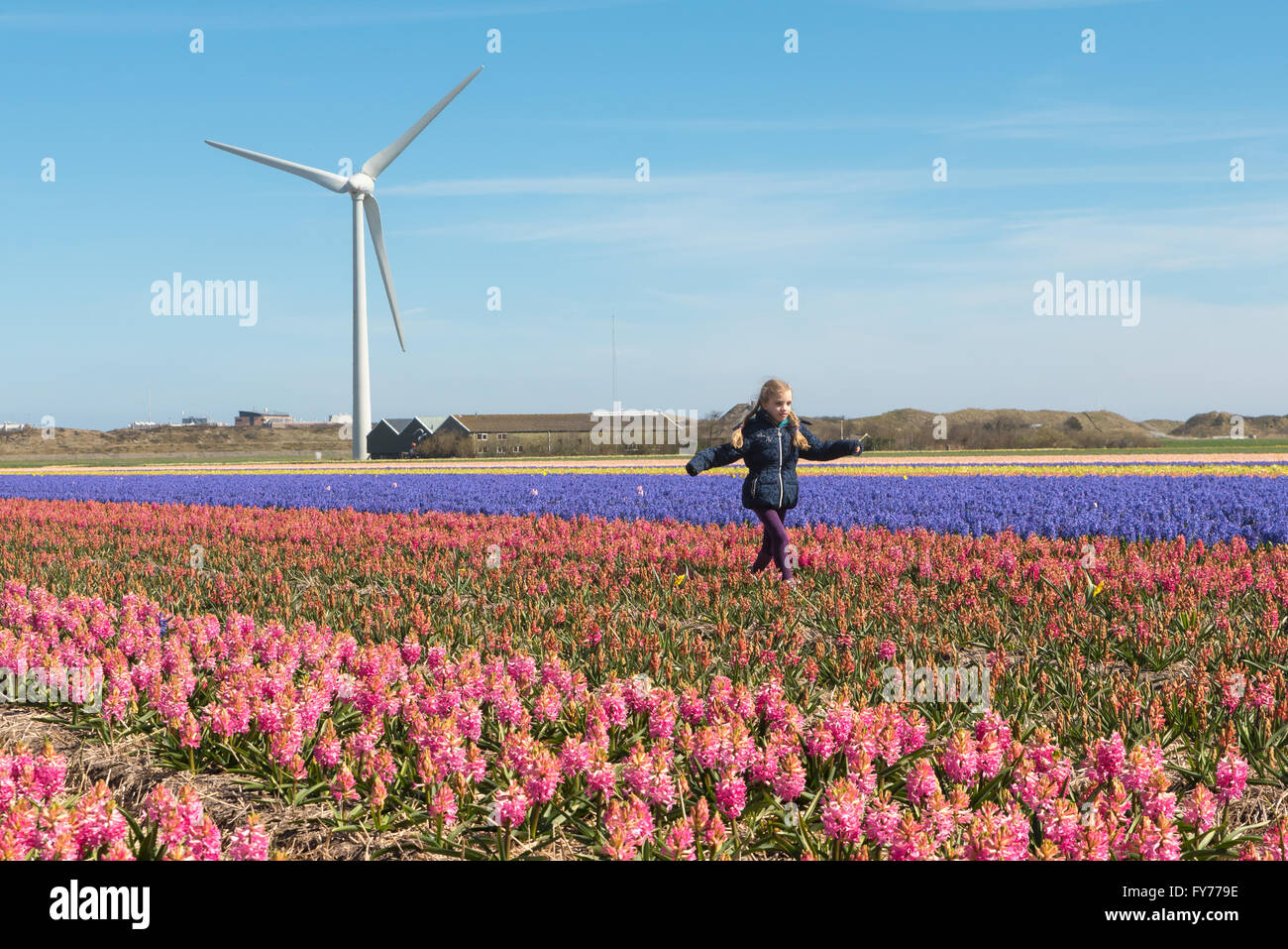 Ein junges Mädchen spielen unter den Frühlingsblumen in einer typisch holländischen Frühling-Szene Stockfoto