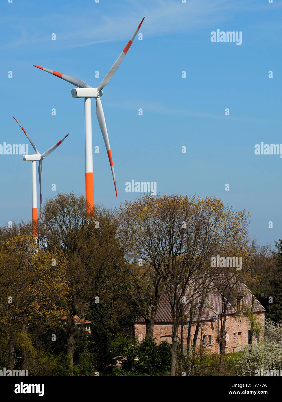 Große Windmühlen mit blauem Himmel an Niederländisch-belgischen Grenze in der Nähe von Hazeldonk, altes Haus ganz in der Nähe Stockfoto