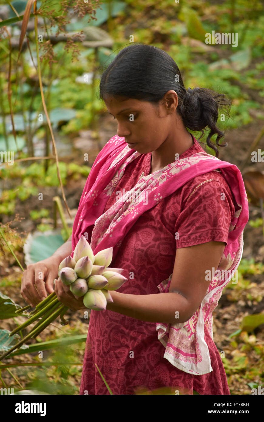 Wie Nennt Man Menschen Aus Sri Lanka Sri Lanka, Kulturelle Tour, Menschen und Orte Stockfotografie - Alamy