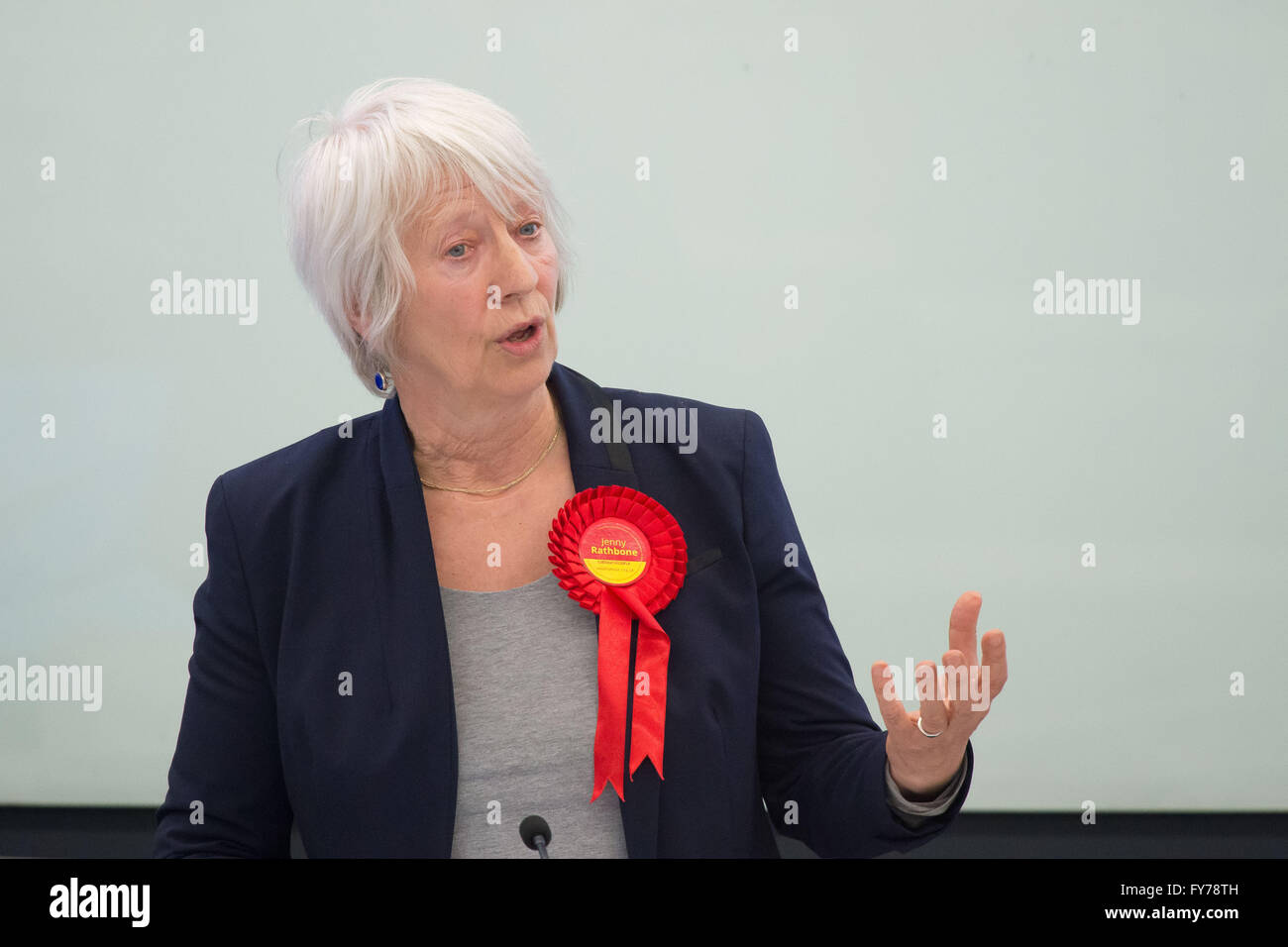 Jenny Rathbone Arbeit bin für Cardiff zentrale an der National Assembly for Wales. Stockfoto