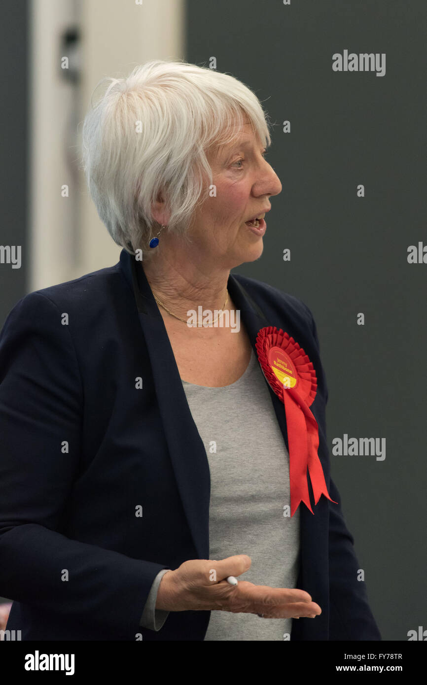Jenny Rathbone Arbeit bin für Cardiff zentrale an der National Assembly for Wales. Stockfoto