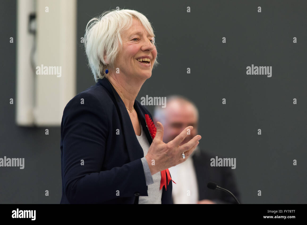 Jenny Rathbone Arbeit bin für Cardiff zentrale an der National Assembly for Wales. Stockfoto
