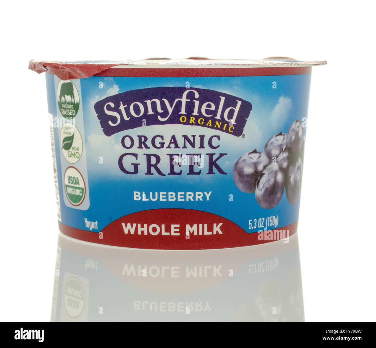 Winneconne, Wisconsin - 5. März 2016: ein Behälter mit Stonyfield Bio Joghurt Heidelbeere Geschmack. Stockfoto