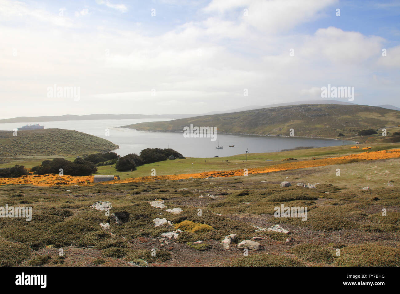 Blick über den Naturhafen von West Point Insel, Falkland-Inseln Stockfoto