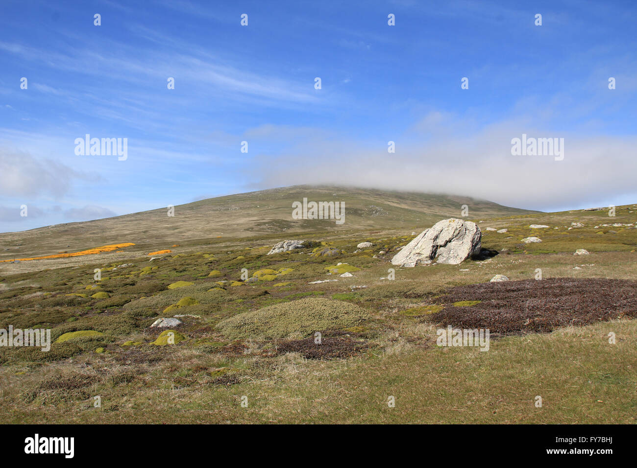 Das Grasland von West Point Insel, Falkland-Inseln Stockfoto