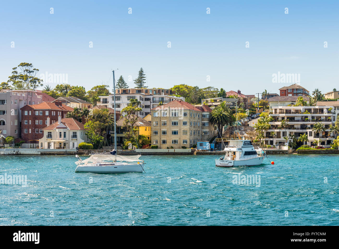 Segelboote vor Anker im Stadtteil Manly Bay am Sommertag in der Nähe von Sydney, Australien Stockfoto