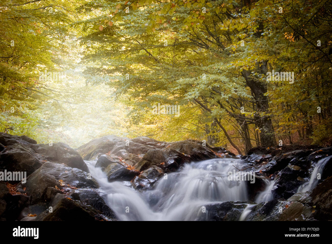 Wasserfall am Waldbach im Herbst Stockfoto