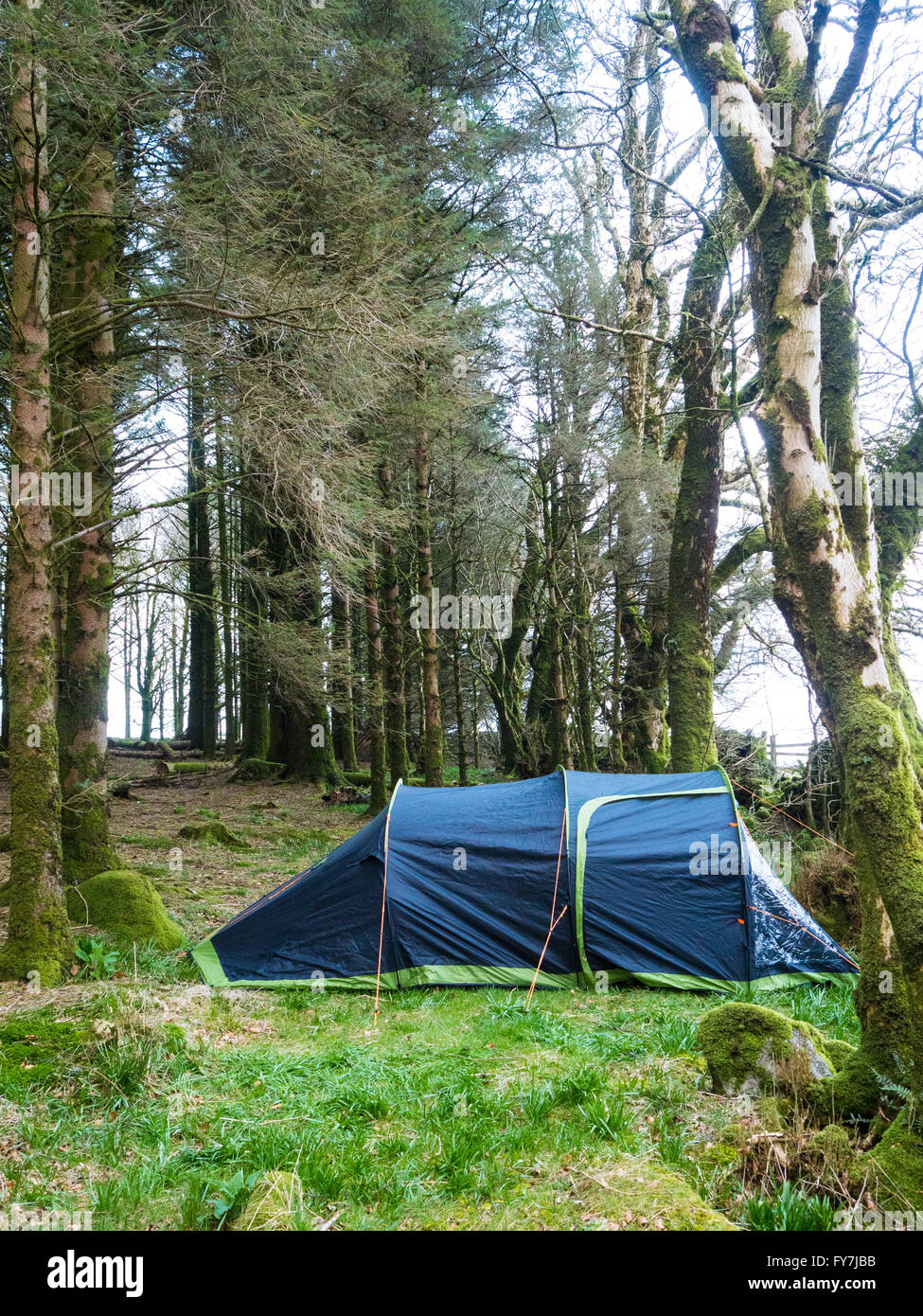 Aufnahmen von der Umgebung und der Campingplatz in Dartmoor. Stockfoto