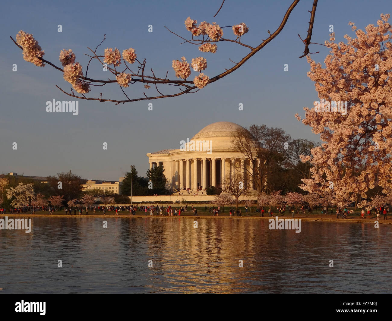 Das Jefferson Memorial Cherry Blossom Festival Washington, DC Stockfoto