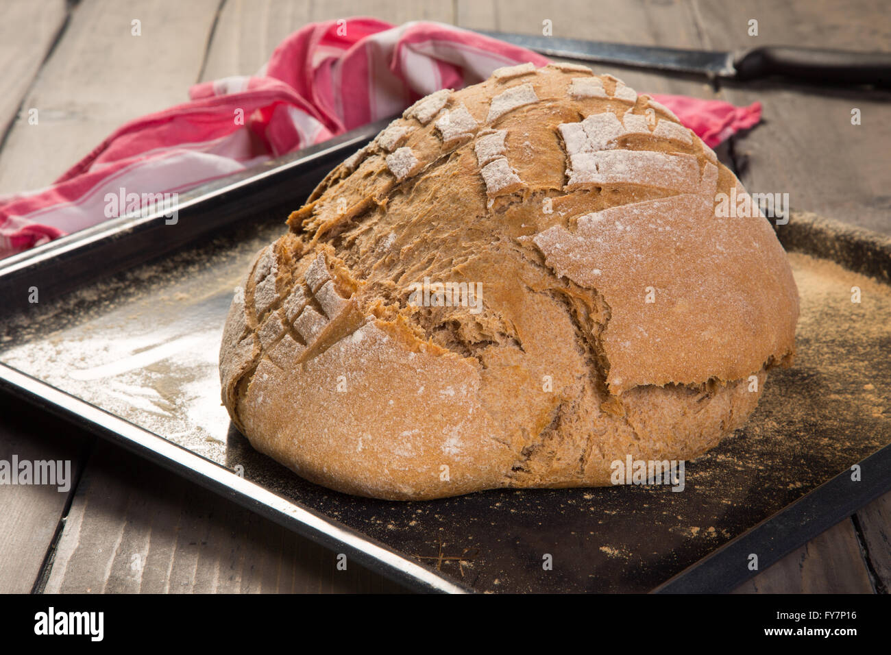 Laib Brot frisch aus dem Ofen Stockfoto