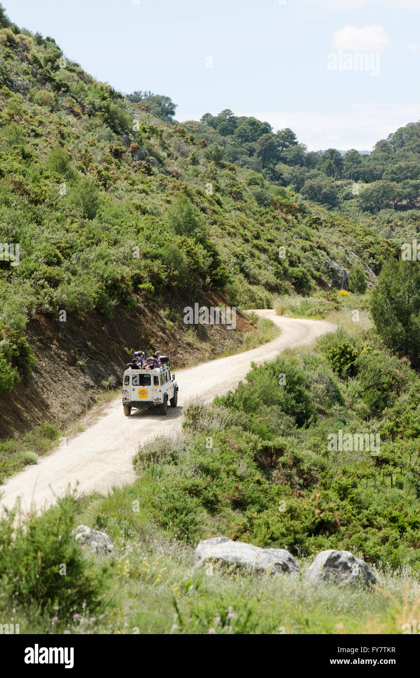 Land Rover, 4 x 4 Off-Road-fahren Reise, Tour, Ökotourismus-Laufwerke durch die Sierra de Las Nieves, Andalusien, Spanien. Stockfoto