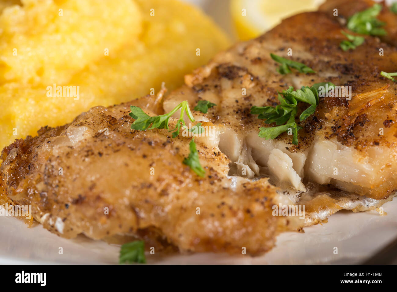 Köstliche Teller mit frischen gebratenen Karpfen mit polenta Stockfoto