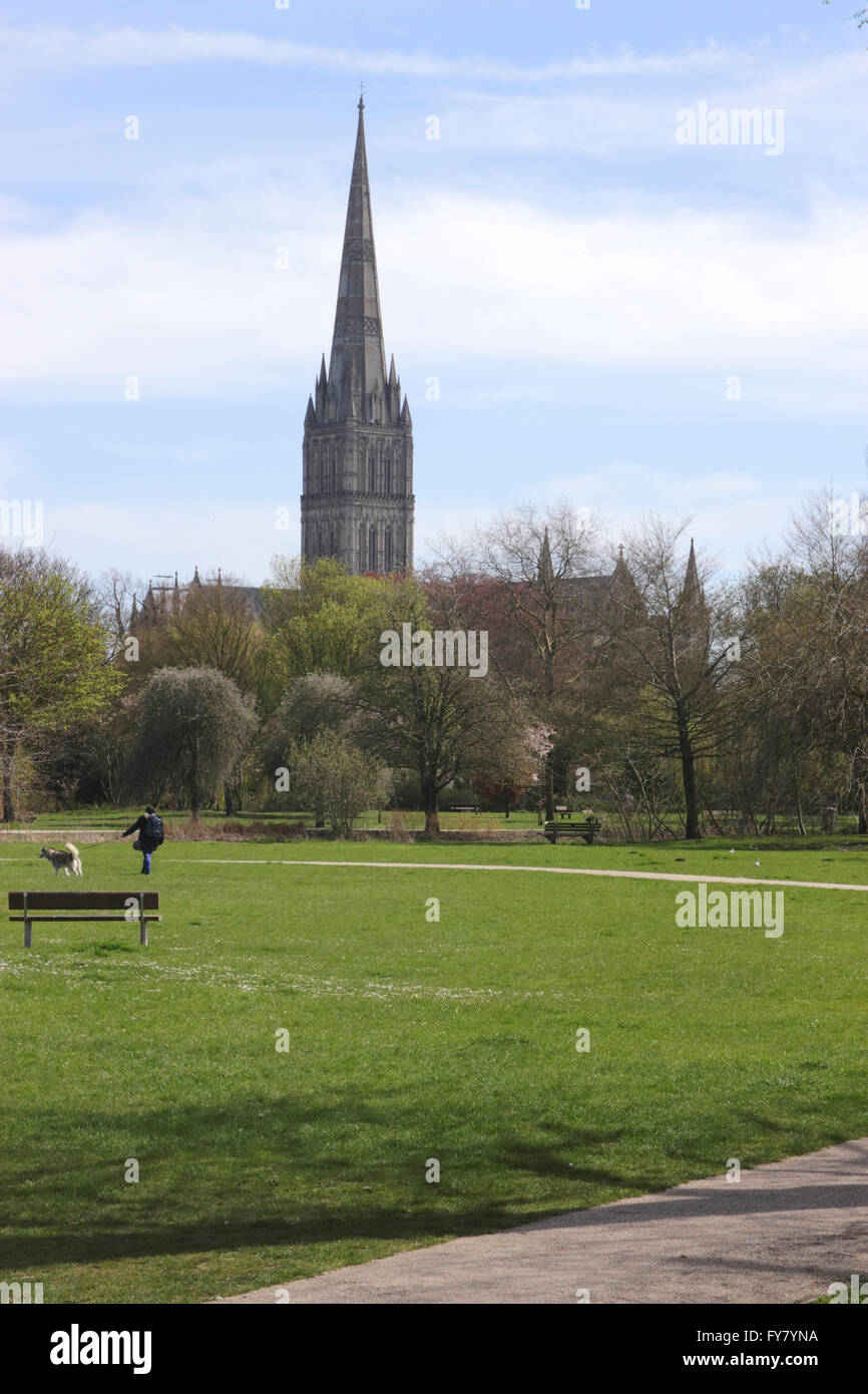 Queen Elizabeth Gardens und Turm der Salisbury Kathedrale Wiltshire England Stockfoto