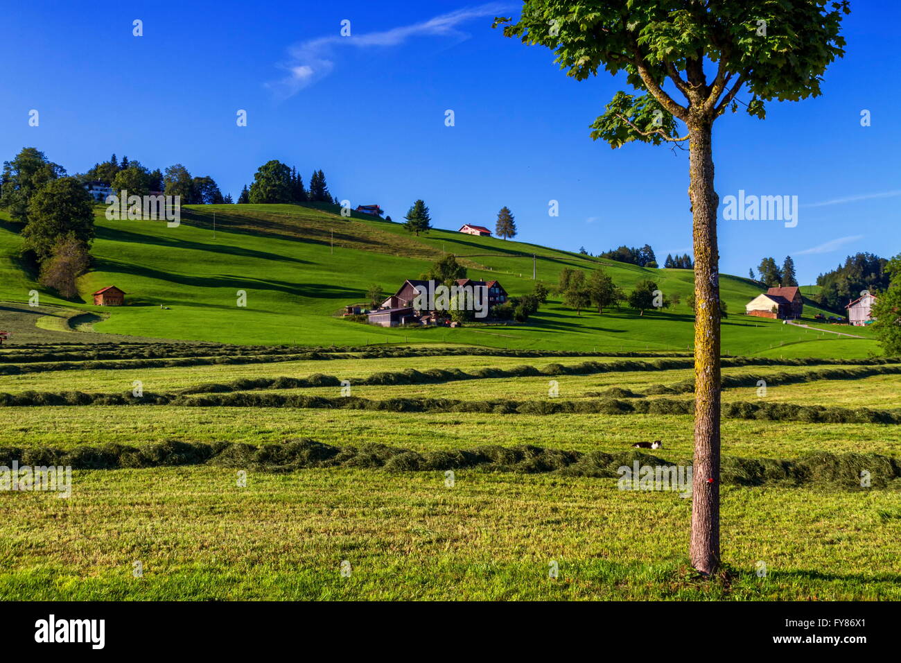 Appenzeller Hügellandschaft mit dem schönen Tag, Schweiz Stockfoto