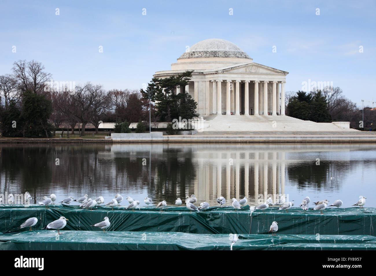 Jefferson Memorial und Gezeitenbecken in Washington, D.C. Stockfoto