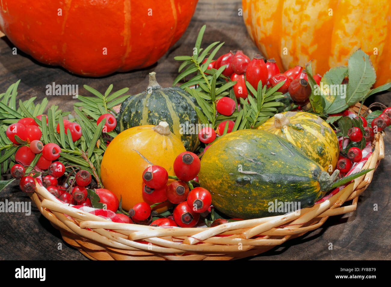 Herbst Dekoration, Krbis, Krbis, Hagebutten, Beeren der Eberesche und Eibe  in einem Korb Stockfotografie - Alamy
