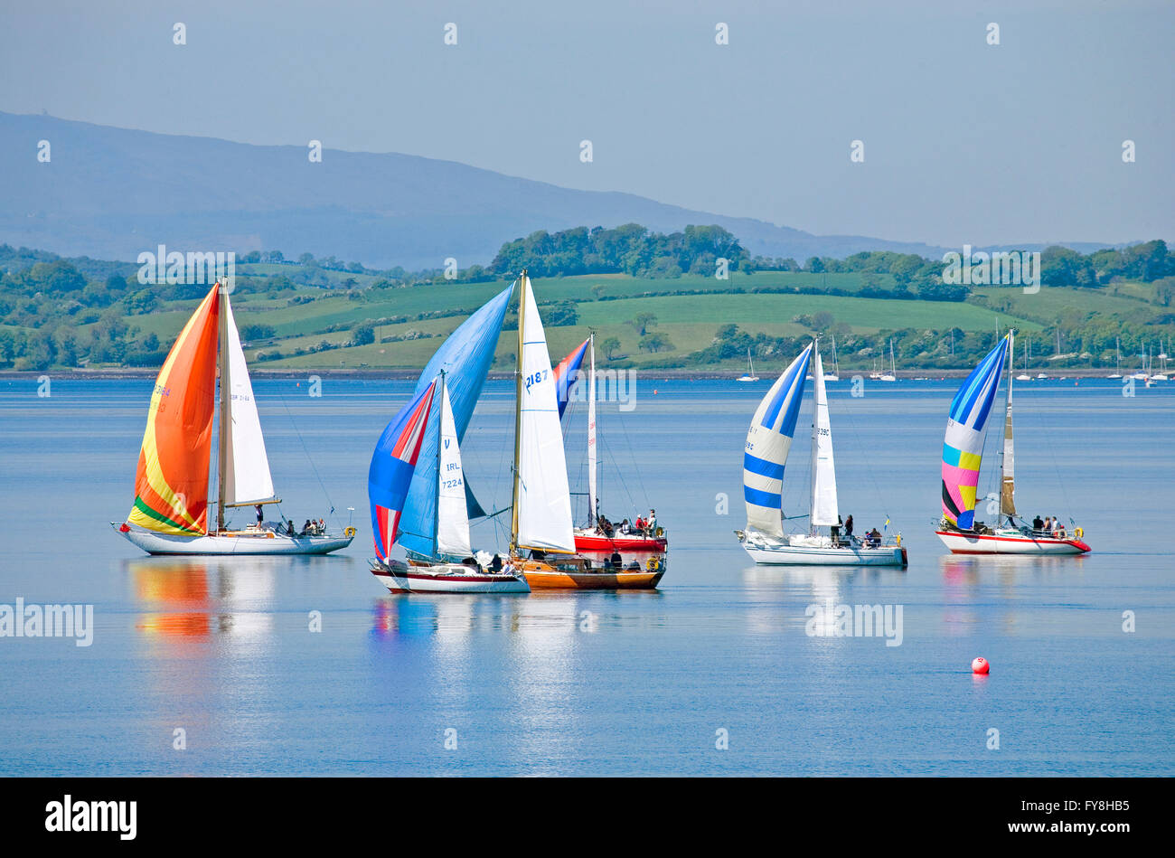 Dr. John Wilson Foster, irischer Literaturkritiker, Naturforscher und Autor der Passenger Pigeon, fotografiert in der Nähe seines Hauses in Portaferry, County Down. Stockfoto