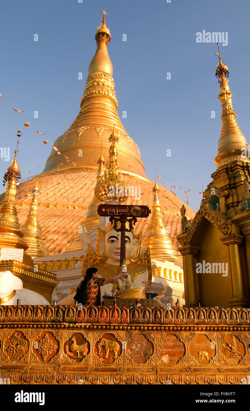 Die Shwedagon-Pagode in Yangon in Myanmar Stockfoto