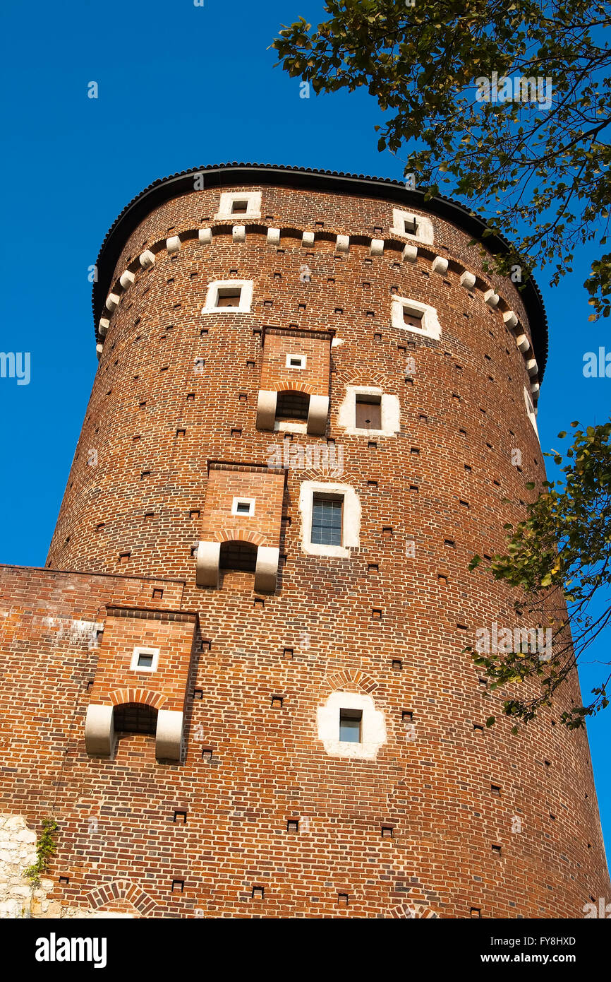 Einer der Türme des königlichen Palastes in Krakau. Wawel, Polen Stockfoto