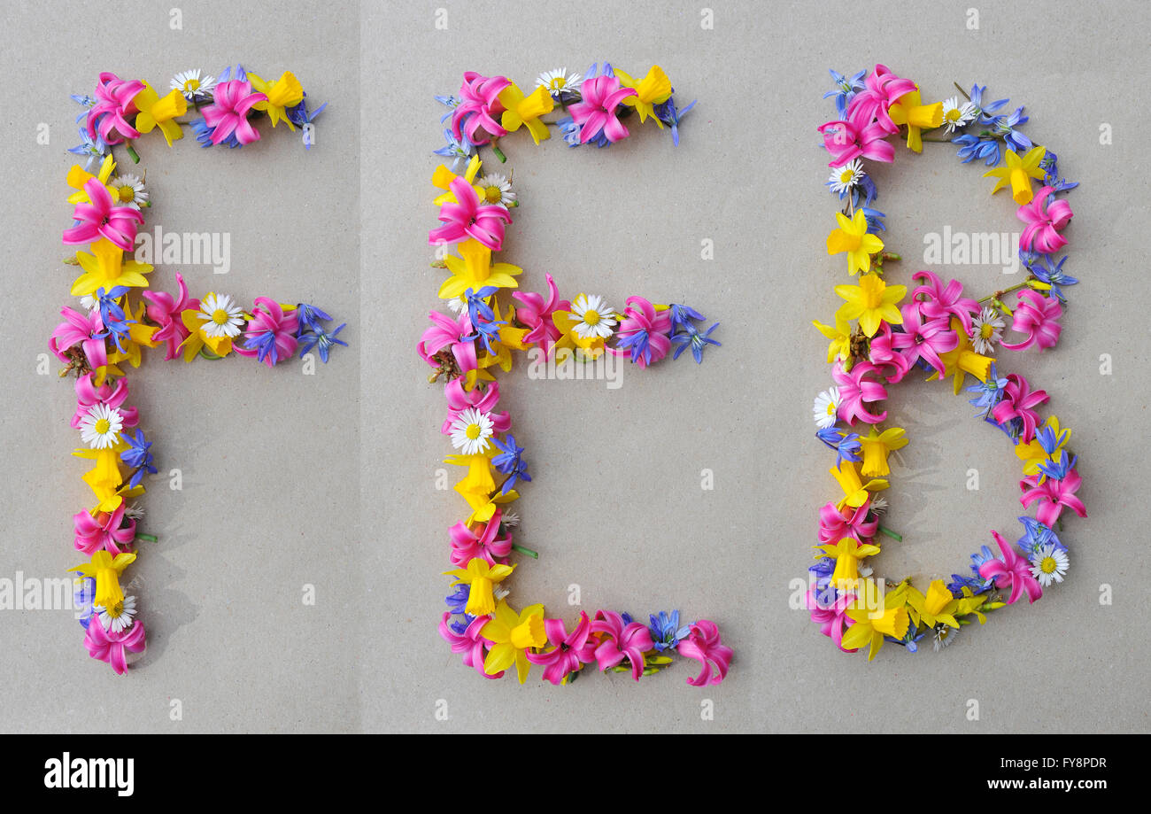Bau der ersten drei Buchstaben des Februar Blumen-arrangement Stockfoto